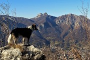 67 Nika osservatrice...sui monti di Valmadrera, Moregallo e Corni di Canzo